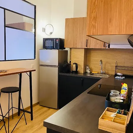 Le Jean Mace, 200m Gare, Clim. דירה גרנובל