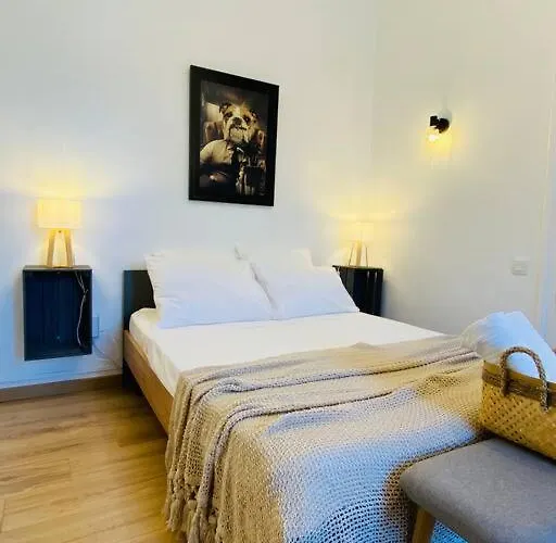 Le Jean Mace, 200m Gare, Clim. דירה