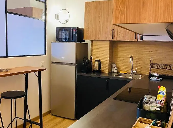 Le Jean Mace, 200m Gare, Clim. Apartment Grenoble